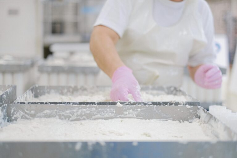 A food production line depicting how industrial coatings benefit cost and yield